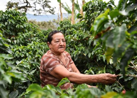 women in field