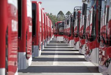 red-buses-line