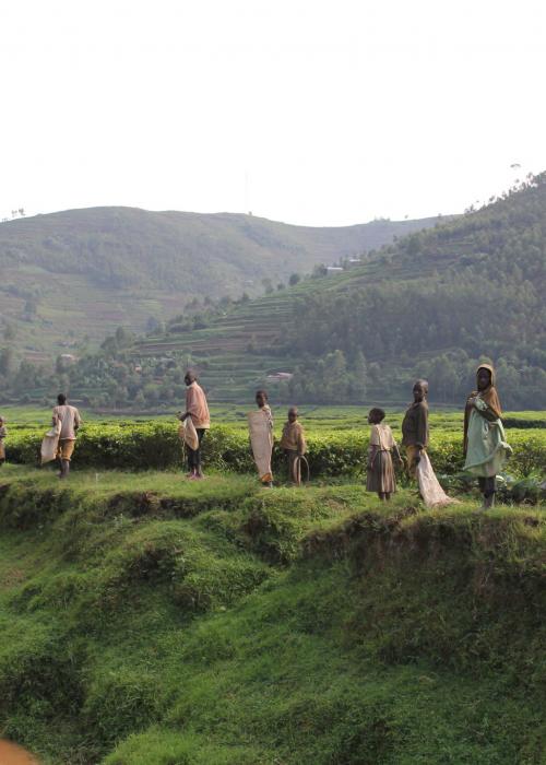 People standing near stream
