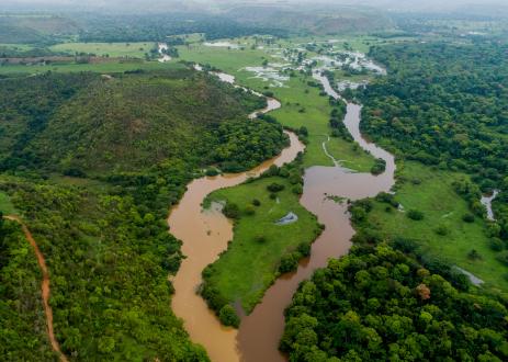 Ariel shot of a river in Brazil