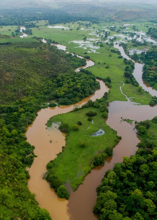 Ariel shot of a river in Brazil
