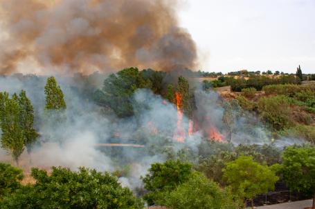 A large fire burns trees and approaches homes near Barcelona, Spain.