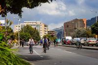 People on bicycles on a sunny street with palm trees and city buildings in the background.