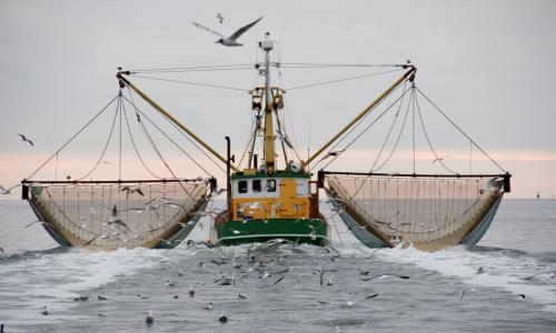 A fishing boat with bottom trawlers.