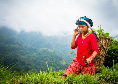 Young girl travels through lush forested landscape.