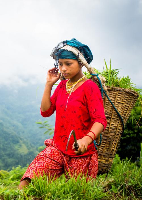 Young girl travels through lush forested landscape.