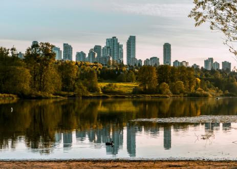 Pond and trees in front of city skyline.