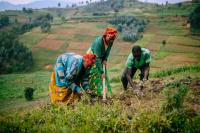 In Rwanda, women’s cooperatives organize farmers to both improve agriculture and the environment.