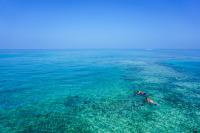 A couple snorkels in crystal clear water
