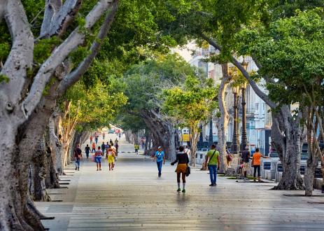 early in the morning in the best light in Havana
