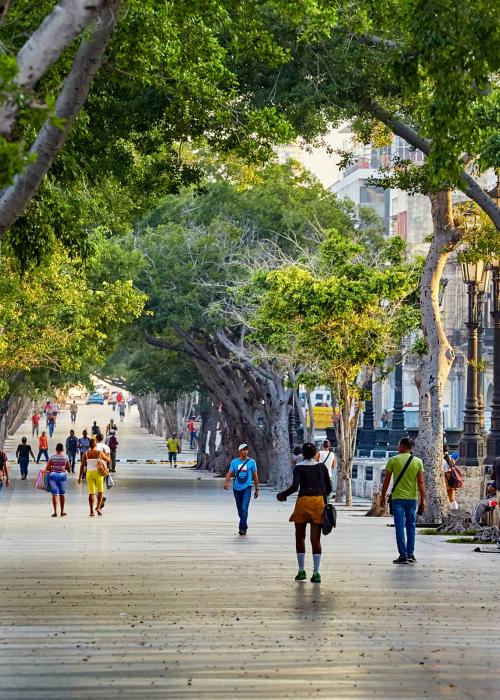 early in the morning in the best light in Havana