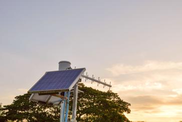 Solar panels and a tree extend into the sky.
