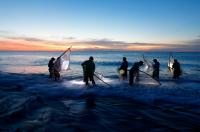 Traditional triangle-net fishing off the coast of Taiwan