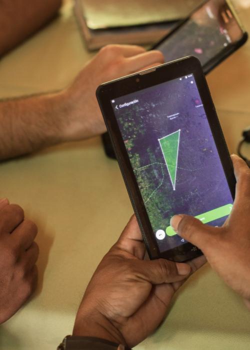 Forest Watcher app demo.
