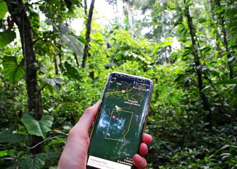 A Forest Watcher use out in the field 