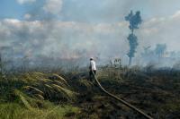 Forest fire in Borneo, Indonesia