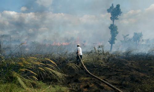 Forest fire in Borneo, Indonesia