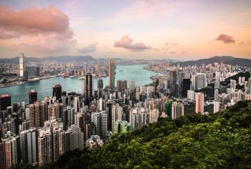 A view of Hong Kong from the edge of a forest. 