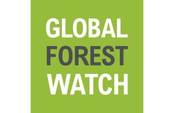 Global Forest Watch