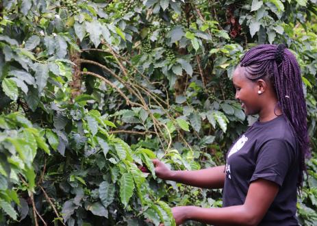 Africa woman tending agricultural land