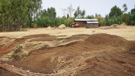 Check dam on degraded land.