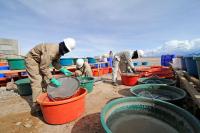 Workers extracting lithium in Bolivia.