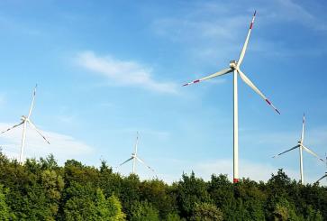 Windmills running in the background of a dense forest.