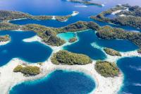 Coral reefs in Raja Ampat, Indonesia