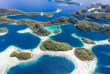 Coral reefs in Raja Ampat, Indonesia