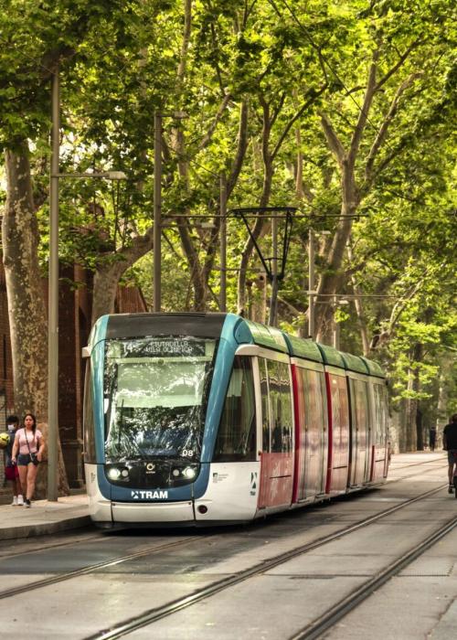 Modern tram is pictured travelling along a tree-lined street in an urban setting in Barcelona, Spain