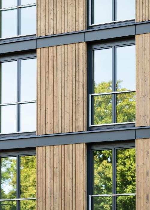 Trees reflecting in building window.