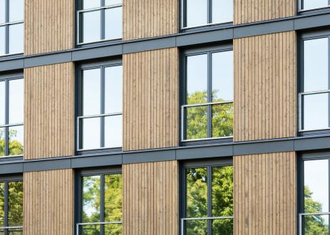 Trees reflecting in building window.