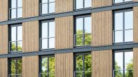 Trees reflecting in building window.