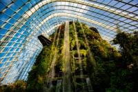 Cloud Foreset, Gardens by the Bay Singapore.