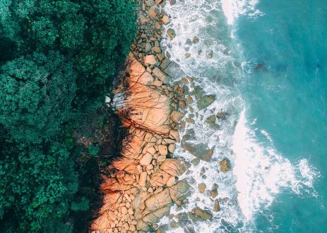 Ocean and rocky, forested shore of island.