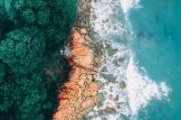 Ocean and rocky, forested shore of island.