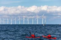 Kayakers pass by offshore wind turbines off the coast of Copenhagen