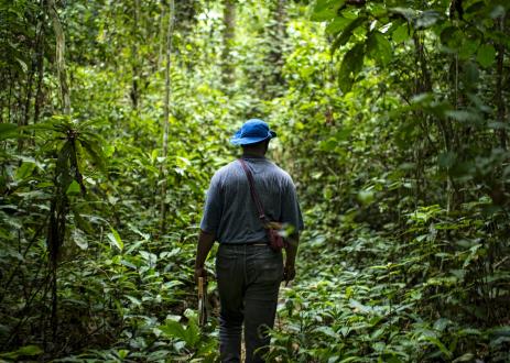 Photo credit: CIFOR/Flickr
