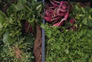 Produce.