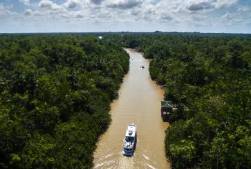 Aerial view of Amazon River