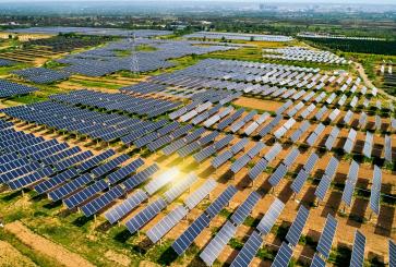 A vast solar park.
