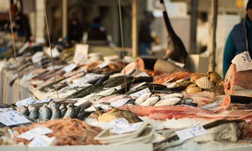 Fish for sale are displayed on ice at an Italian fish market.
