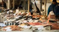 Fish for sale are displayed on ice at an Italian fish market.