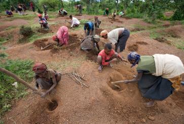Villagers plant trees in southern Ethiopia