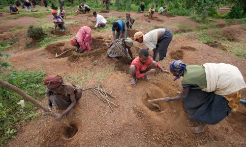 Villagers plant trees in southern Ethiopia