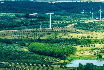 Wind turbines on green fields with trees.