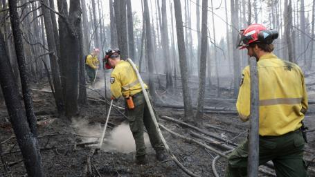Wildfire fighters put out the remains of a fire in a scorched, blackened forest.