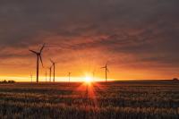 Wind turbines on grassy field at golden hour.