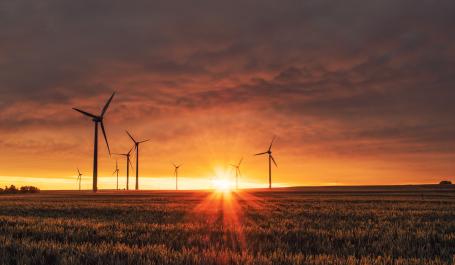 Wind turbines on grassy field at golden hour.
