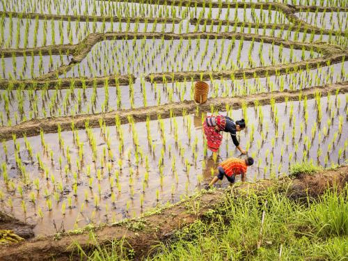 Woman and child in asian field